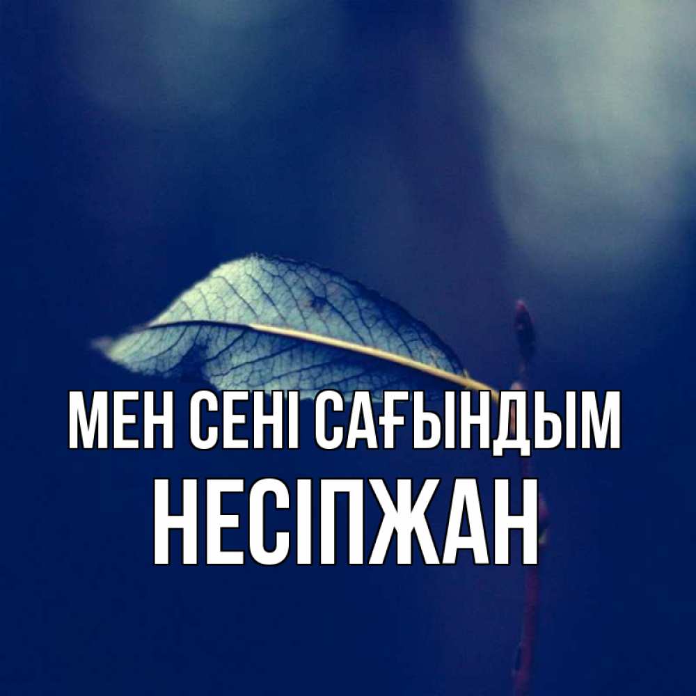 Күн сайын ашық хат с именем, НЕСІПЖАН Мен сені сағындым одна ветка 1 Онлайн тегін жүктеп алу тілектері бар керемет карта 