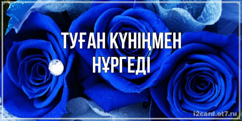 Күн сайын ашық хат с именем, НҰРГЕДІ Туған күніңмен синие розы в росе Онлайн тегін жүктеп алу тілектері бар керемет карта 