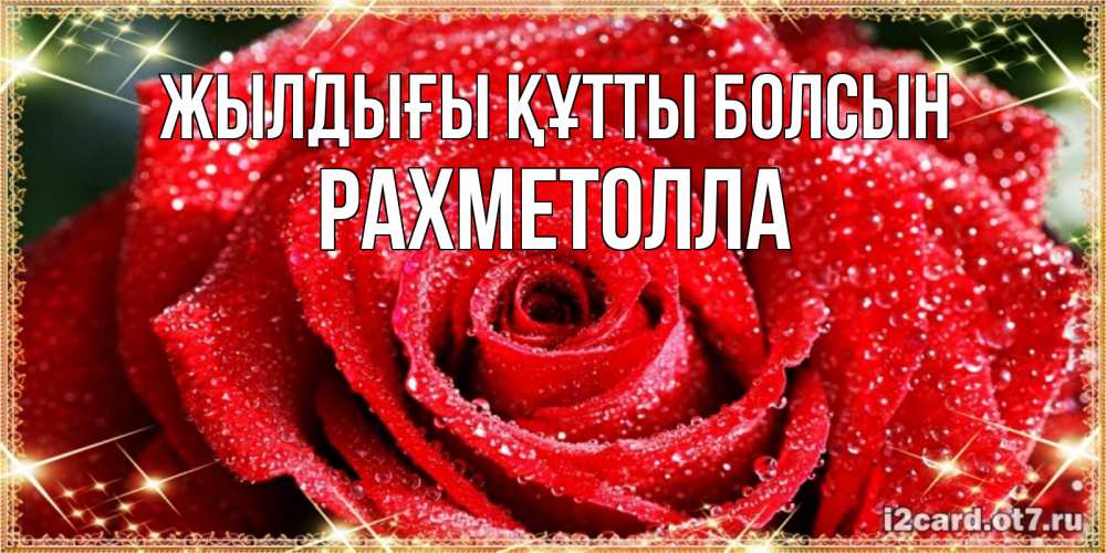 Күн сайын ашық хат с именем, РАХМЕТОЛЛА Жылдығы құтты болсын роса и роза. открытка с красивой розой Онлайн тегін жүктеп алу тілектері бар керемет карта 