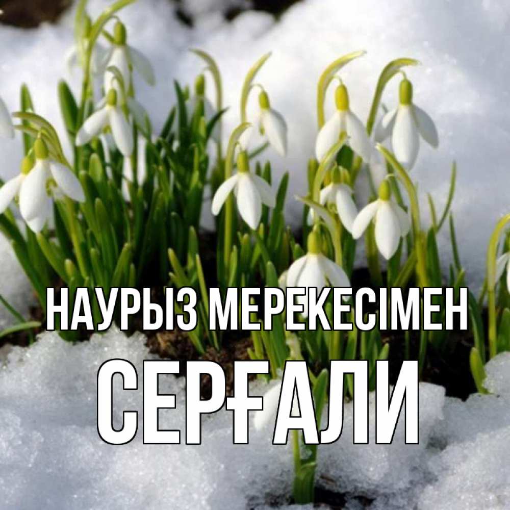 Күн сайын ашық хат с именем, СЕРҒАЛИ Наурыз мерекесімен цветы весенние Онлайн тегін жүктеп алу тілектері бар керемет карта 