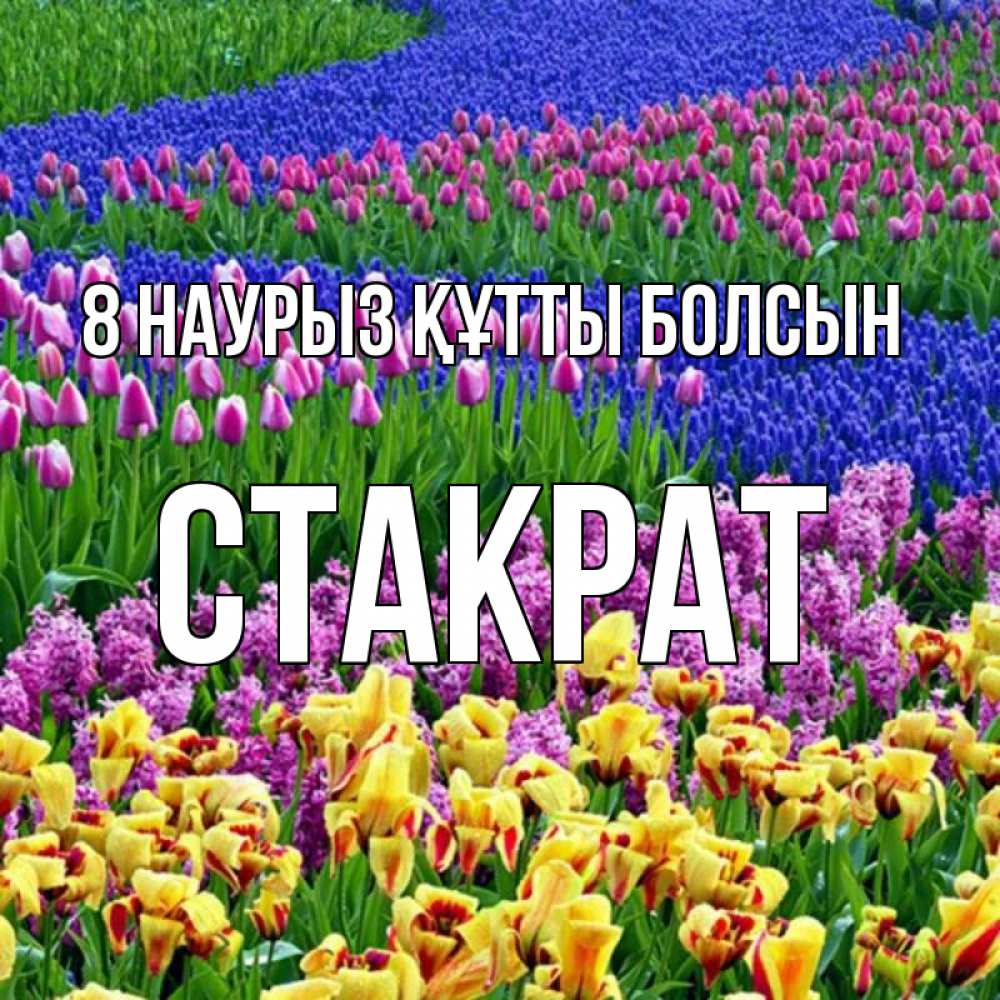 Күн сайын ашық хат с именем, Стакрат 8 наурыз құтты болсын цветы Онлайн тегін жүктеп алу тілектері бар керемет карта 