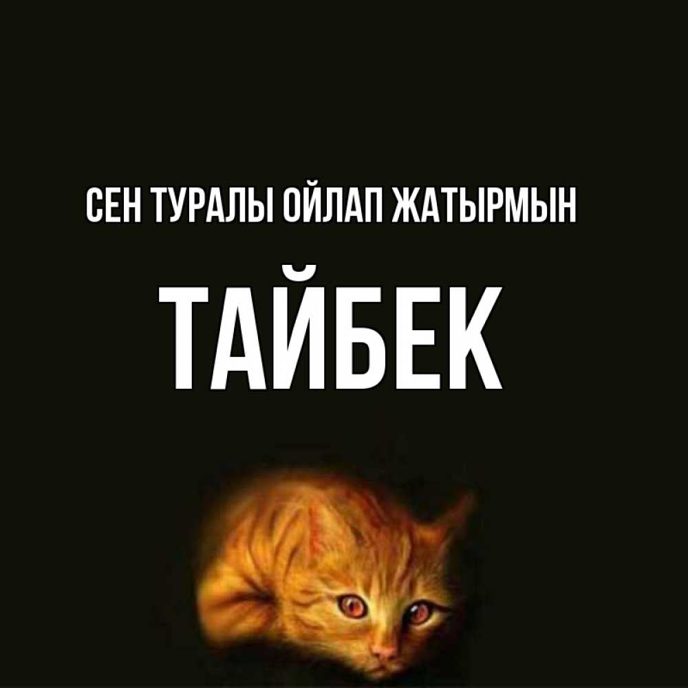 Күн сайын ашық хат с именем, ТАЙБЕК Сен туралы ойлап жатырмын рыжий Онлайн тегін жүктеп алу тілектері бар керемет карта 