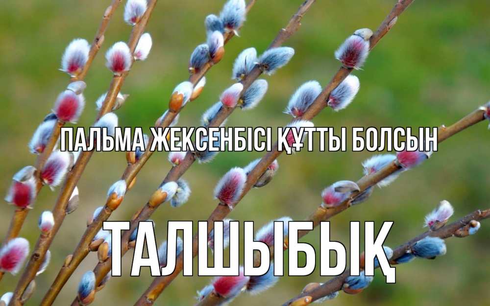 Күн сайын ашық хат с именем, ТАЛШЫБЫҚ Пальма жексенбісі құтты болсын верба Онлайн тегін жүктеп алу тілектері бар керемет карта 