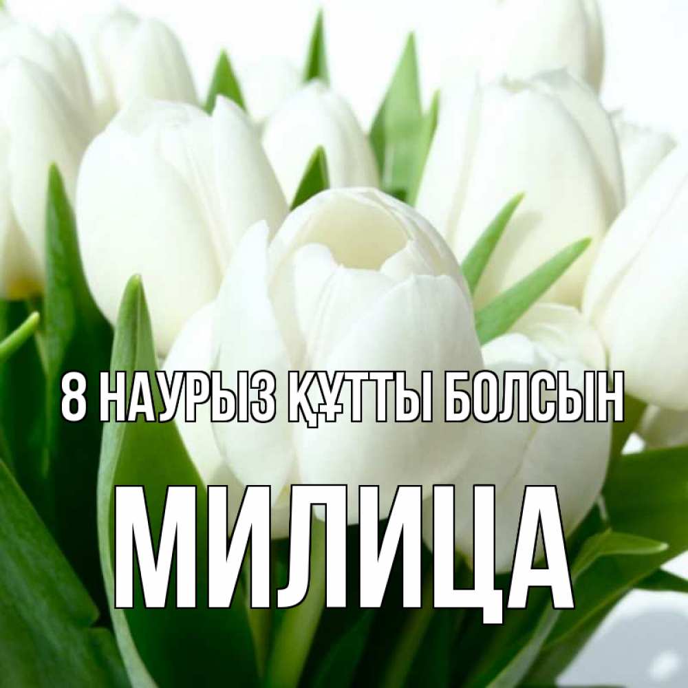 Күн сайын ашық хат с именем, Милица 8 наурыз құтты болсын цветы Онлайн тегін жүктеп алу тілектері бар керемет карта 