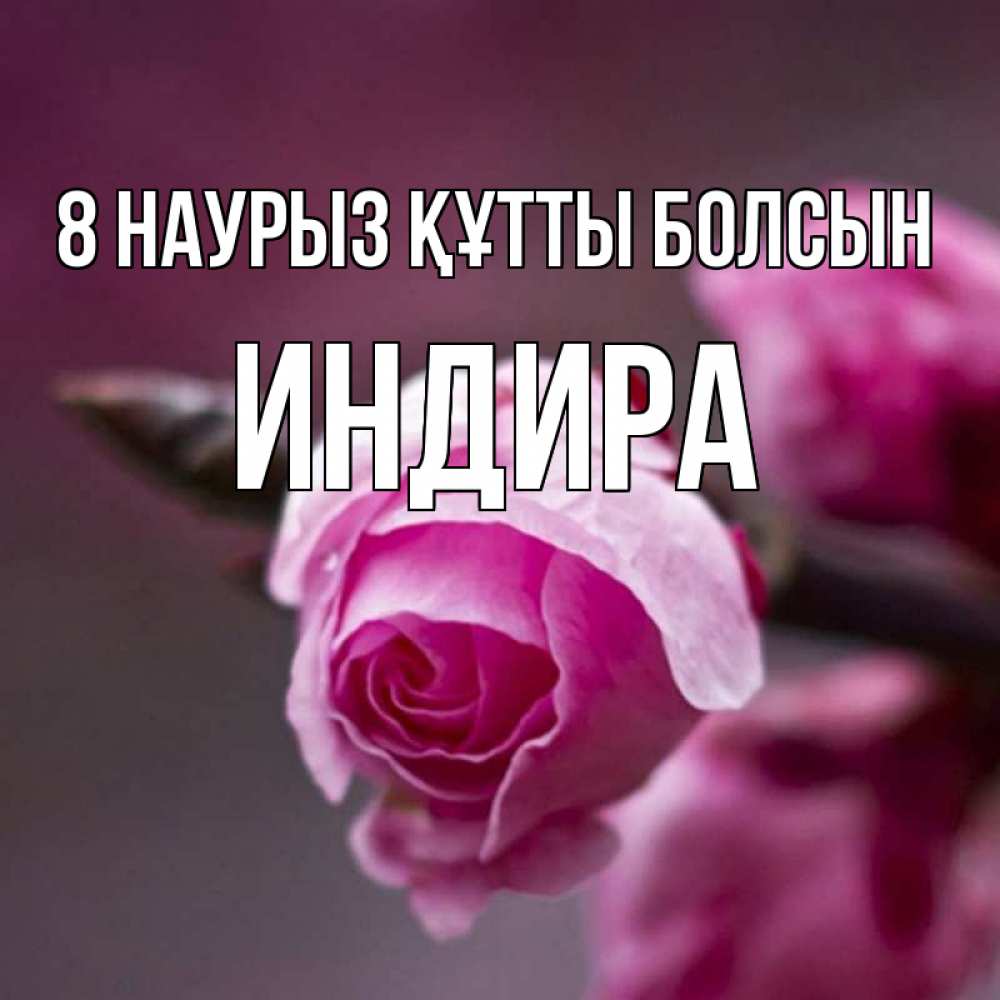 Күн сайын ашық хат с именем, ИНДИРА 8 наурыз құтты болсын весна Онлайн тегін жүктеп алу тілектері бар керемет карта 