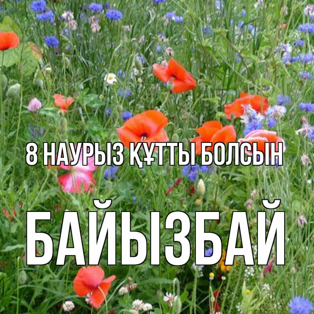 Күн сайын ашық хат с именем, Байызбай 8 наурыз құтты болсын международный женский день 4 Онлайн тегін жүктеп алу тілектері бар керемет карта 