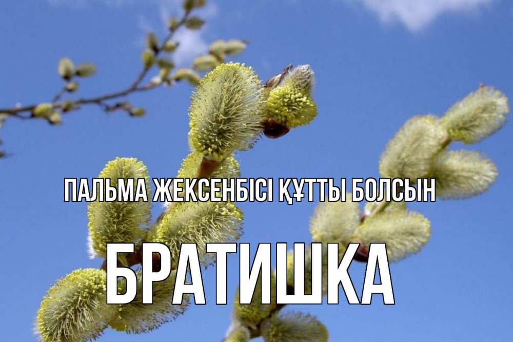 Күн сайын ашық хат с именем, Братишка Пальма жексенбісі құтты болсын верба Онлайн тегін жүктеп алу тілектері бар керемет карта 