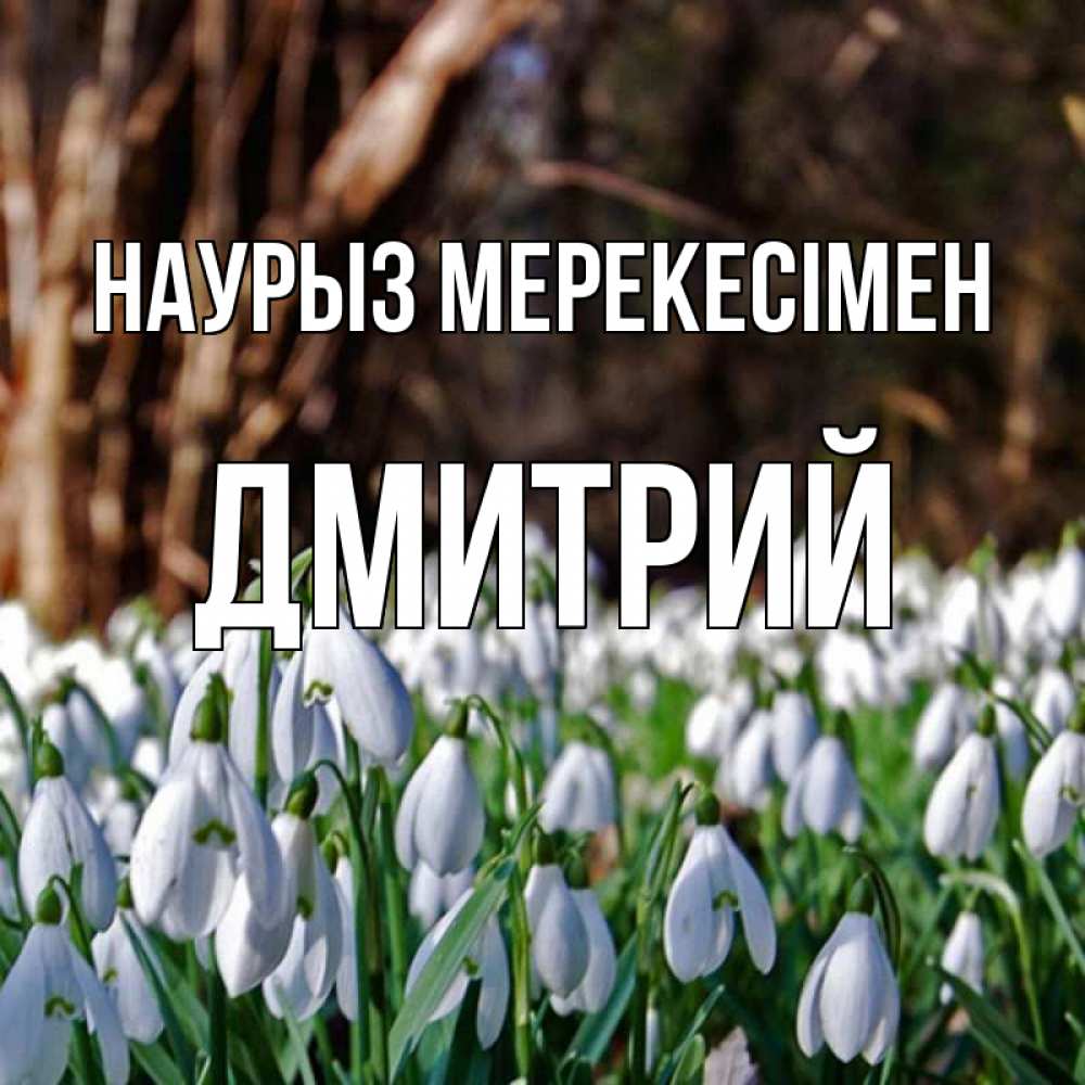 Күн сайын ашық хат с именем, Дмитрий Наурыз мерекесімен с подснежниками 1 Онлайн тегін жүктеп алу тілектері бар керемет карта 