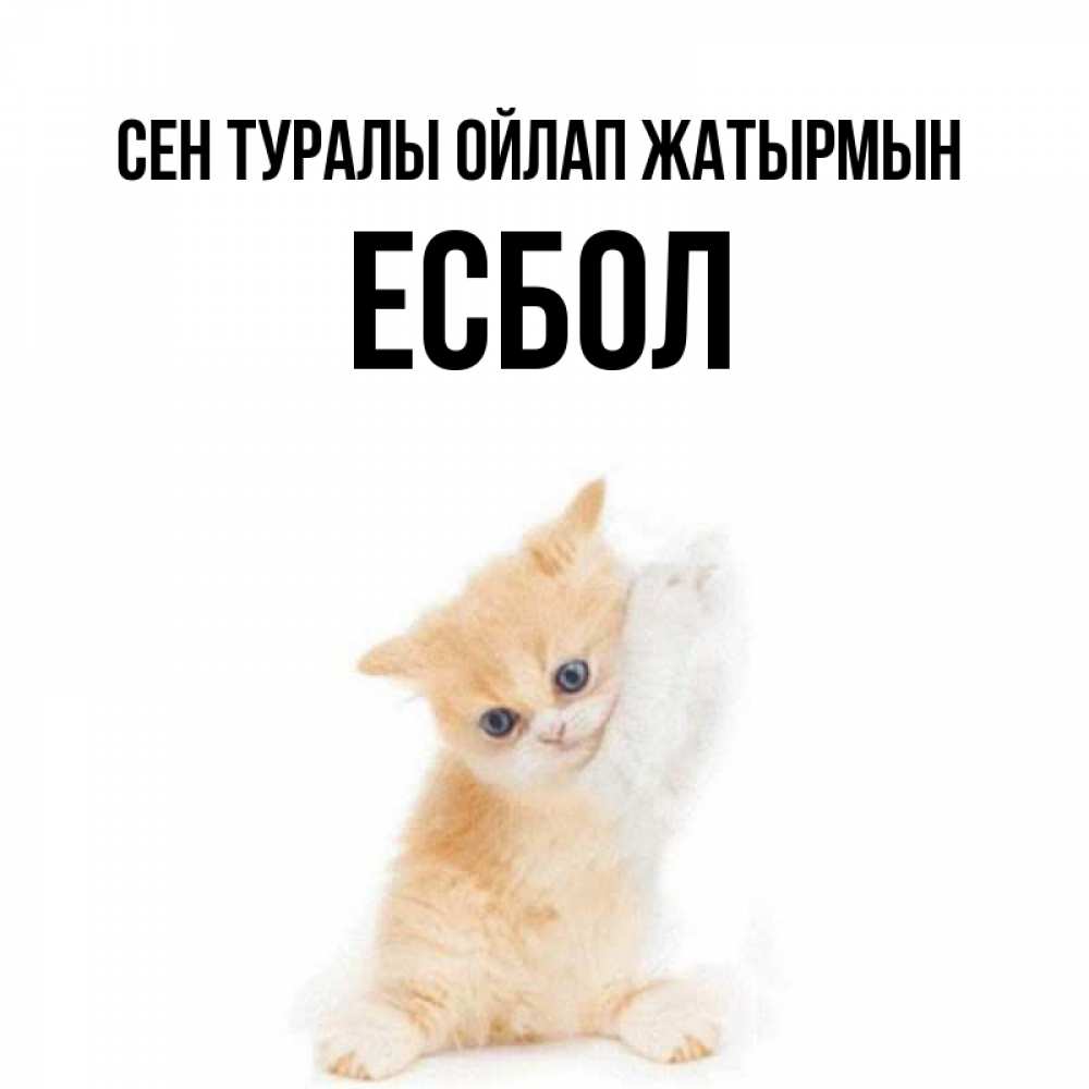 Күн сайын ашық хат с именем, Есбол Сен туралы ойлап жатырмын зверушки и милота Онлайн тегін жүктеп алу тілектері бар керемет карта 