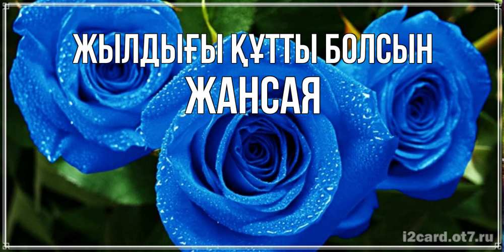 Күн сайын ашық хат с именем, ЖАНСАЯ Жылдығы құтты болсын розы с синим цветом Онлайн тегін жүктеп алу тілектері бар керемет карта 