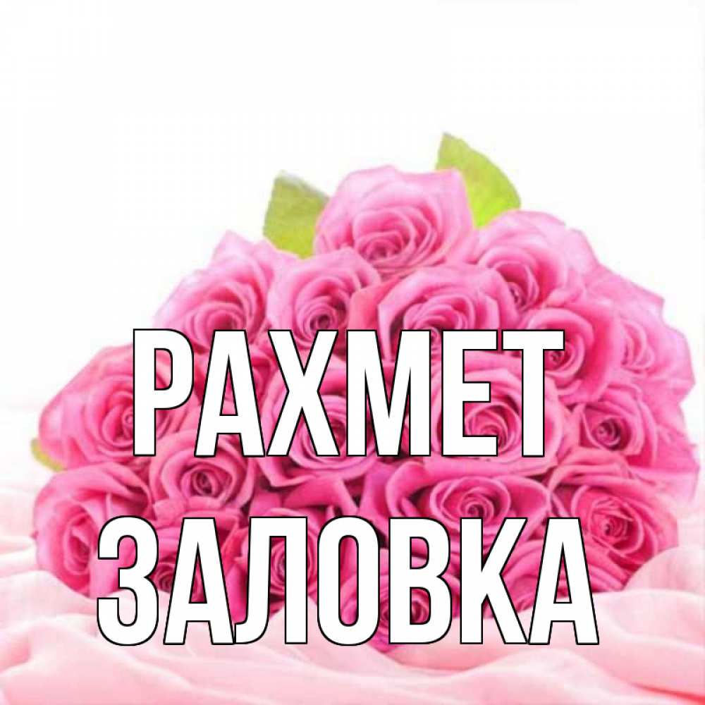 Күн сайын ашық хат с именем, Заловка рахмет розовые розы с подписью Онлайн тегін жүктеп алу тілектері бар керемет карта 