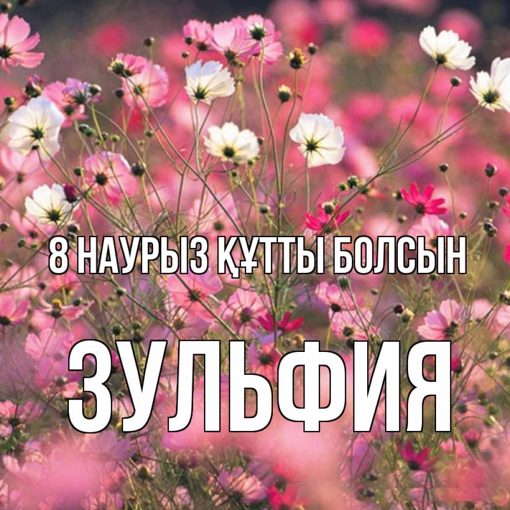 Күн сайын ашық хат с именем, Зульфия 8 наурыз құтты болсын красиво 1 Онлайн тегін жүктеп алу тілектері бар керемет карта 