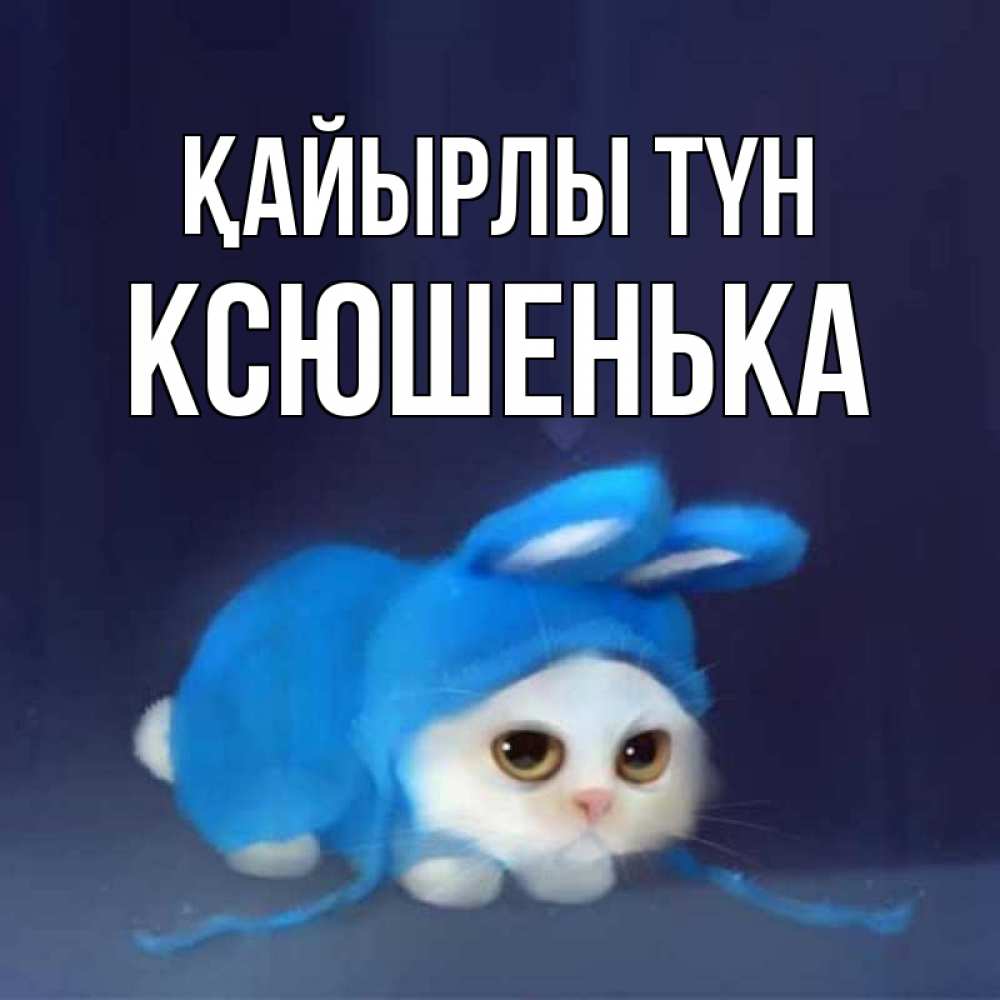 Күн сайын ашық хат с именем, Ксюшенька Қайырлы түн кот в голубом костюме кролика с ушками Онлайн тегін жүктеп алу тілектері бар керемет карта 