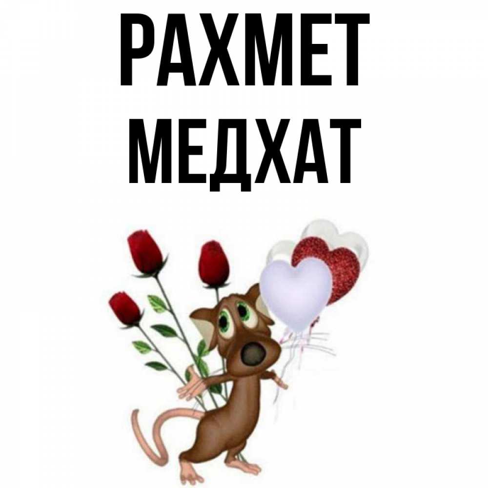 Күн сайын ашық хат с именем, МЕДХАТ рахмет песик с шариками в форме сердец Онлайн тегін жүктеп алу тілектері бар керемет карта 