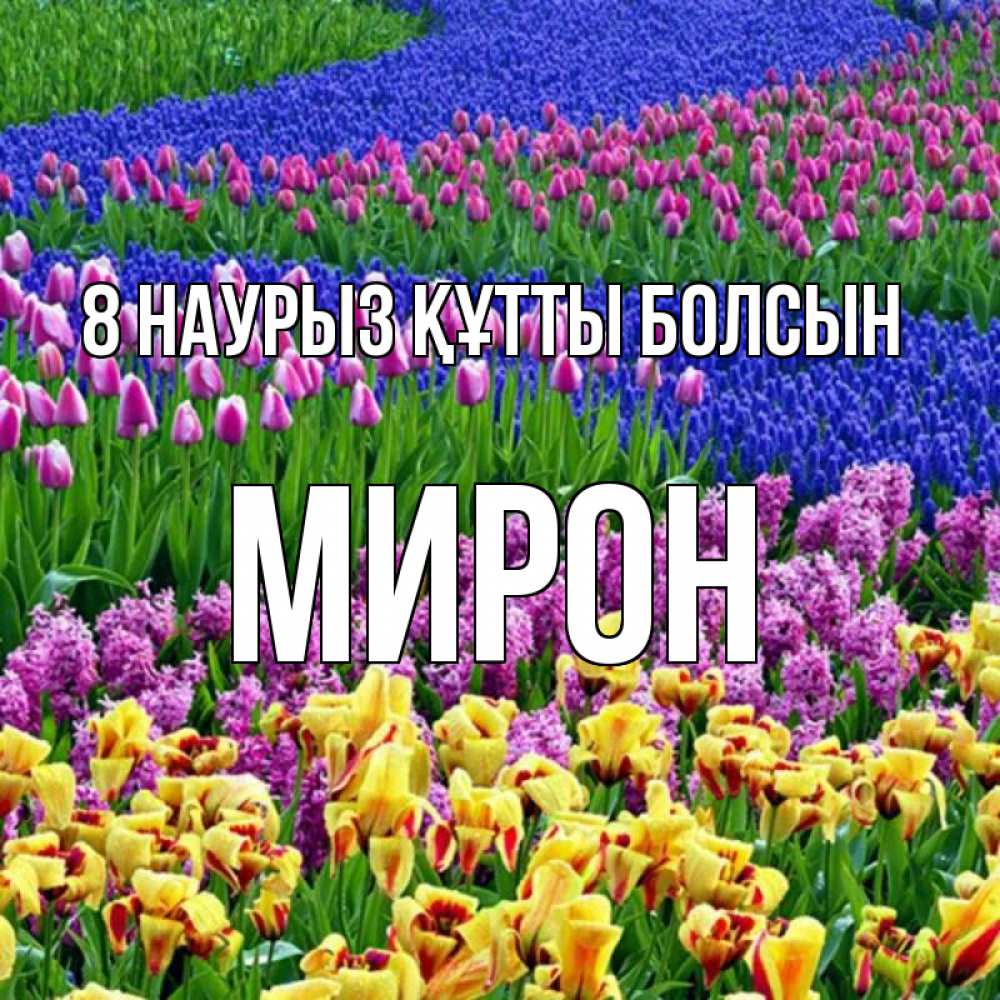 Күн сайын ашық хат с именем, МИРОН 8 наурыз құтты болсын цветы Онлайн тегін жүктеп алу тілектері бар керемет карта 
