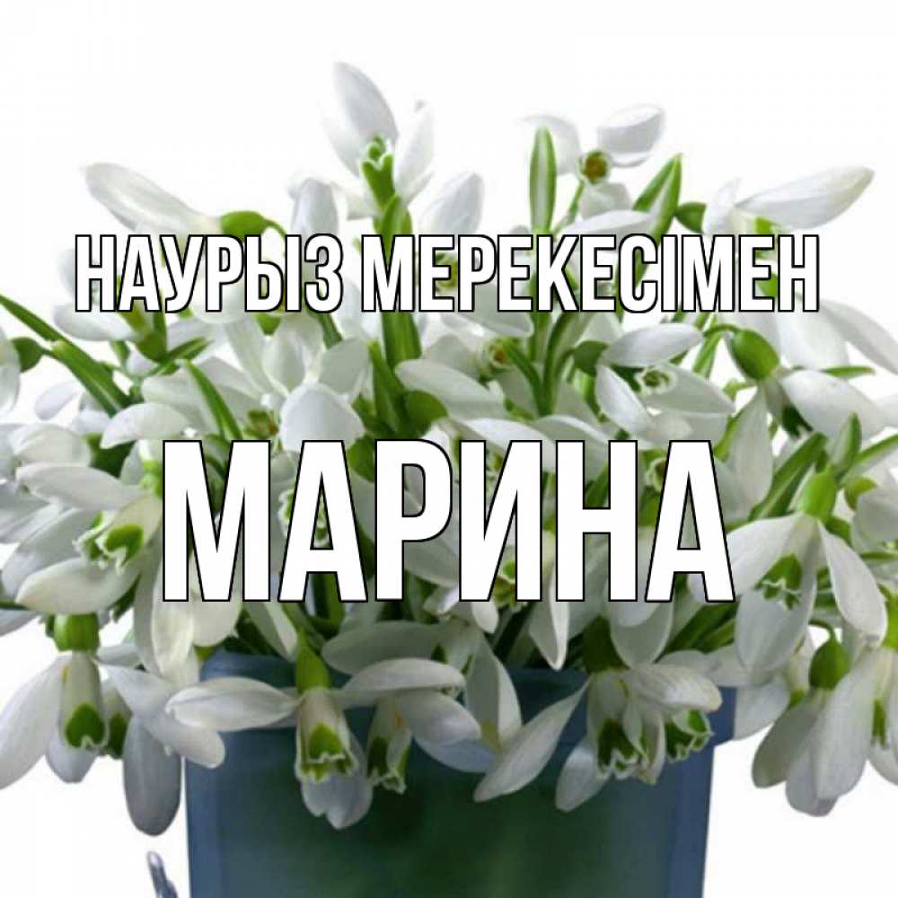 Күн сайын ашық хат с именем, Марина Наурыз мерекесімен цветы к наурызу новый год в Казахстане Онлайн тегін жүктеп алу тілектері бар керемет карта 