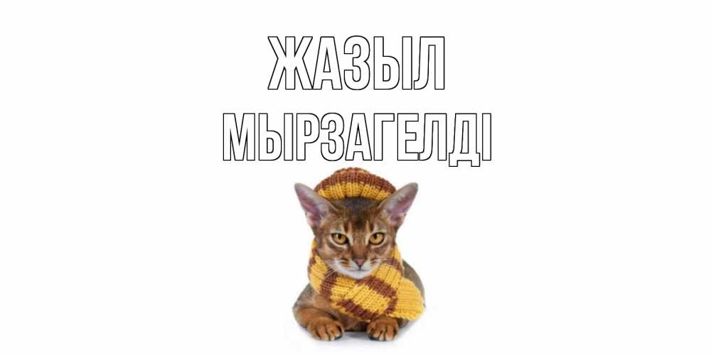 Күн сайын ашық хат с именем, Мырзагелді Жазыл родные не болейте Онлайн тегін жүктеп алу тілектері бар керемет карта 