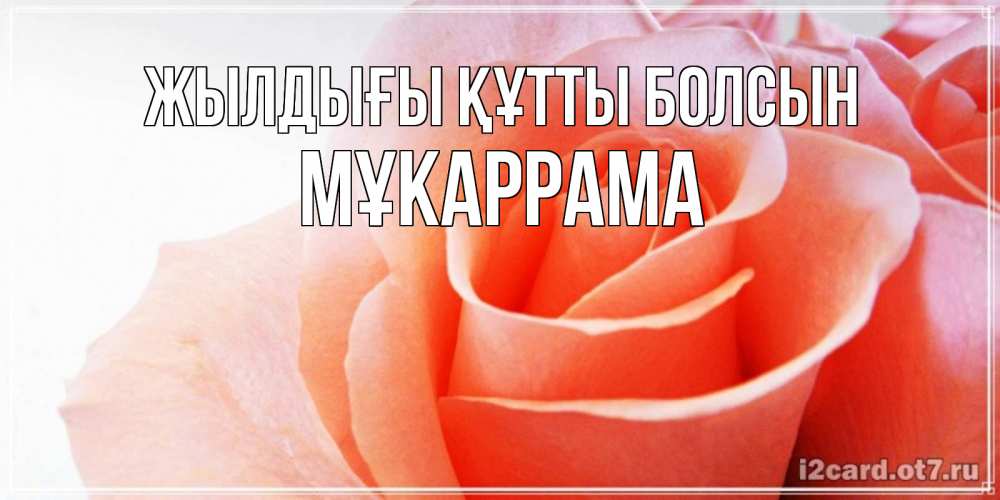 Күн сайын ашық хат с именем, МҰКАРРАМА Жылдығы құтты болсын розы для поздравления с днем рождения Онлайн тегін жүктеп алу тілектері бар керемет карта 