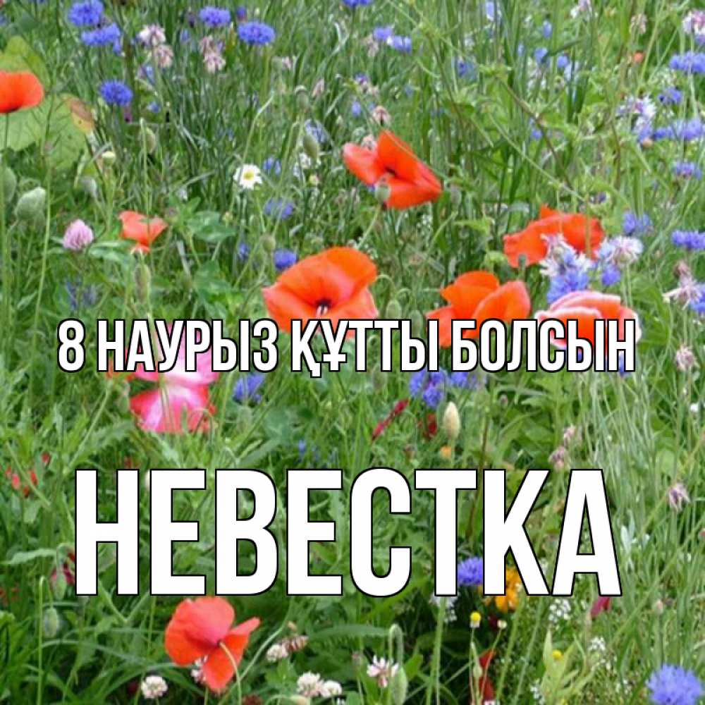 Күн сайын ашық хат с именем, Невестка 8 наурыз құтты болсын международный женский день 4 Онлайн тегін жүктеп алу тілектері бар керемет карта 