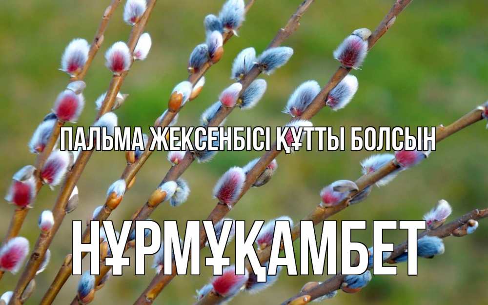 Күн сайын ашық хат с именем, НҰРМҰҚАМБЕТ Пальма жексенбісі құтты болсын верба Онлайн тегін жүктеп алу тілектері бар керемет карта 