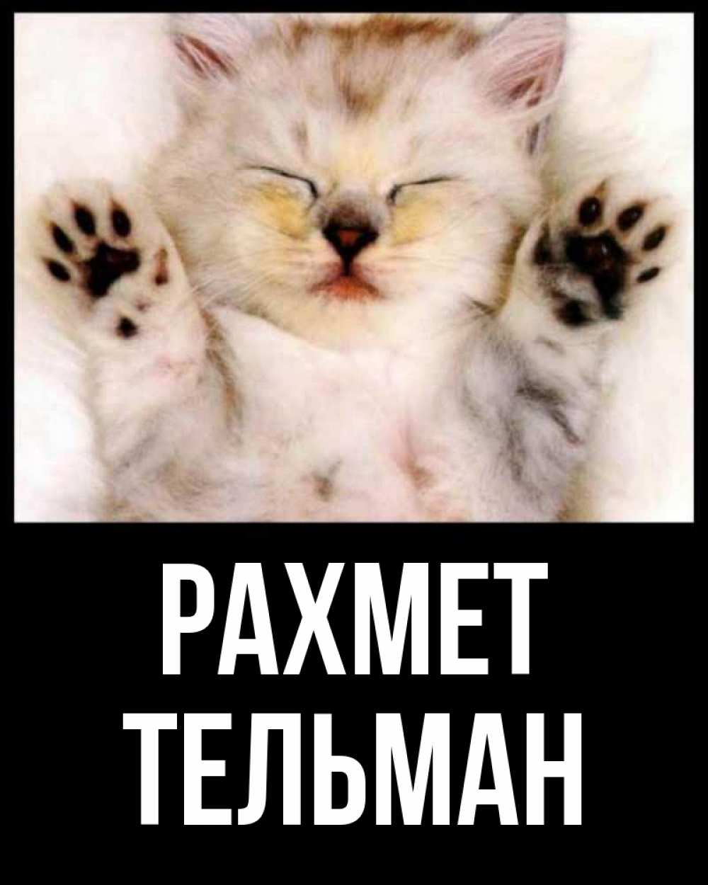 Күн сайын ашық хат с именем, Тельман рахмет маленький котенок Онлайн тегін жүктеп алу тілектері бар керемет карта 
