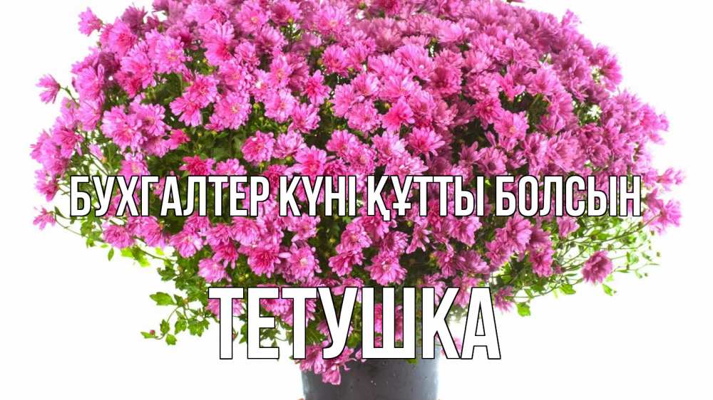 Күн сайын ашық хат с именем, Тетушка бухгалтер күні құтты болсын с днем бухгалтера Онлайн тегін жүктеп алу тілектері бар керемет карта 