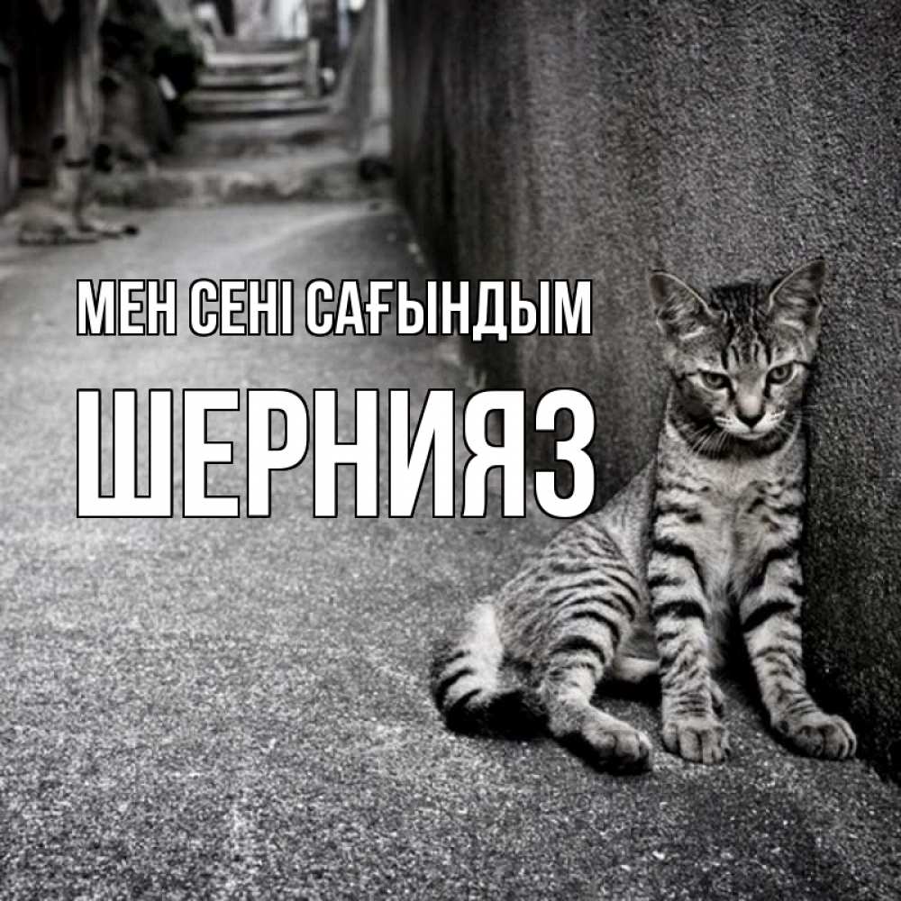 Күн сайын ашық хат с именем, ШЕРНИЯЗ Мен сені сағындым одиноко котику Онлайн тегін жүктеп алу тілектері бар керемет карта 