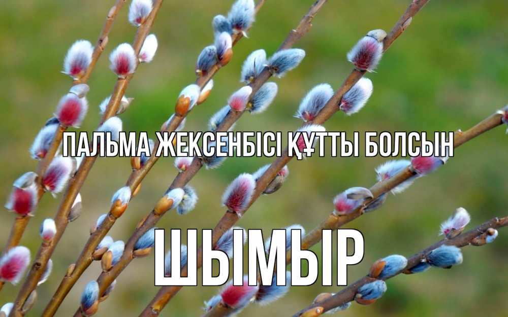 Күн сайын ашық хат с именем, ШЫМЫР Пальма жексенбісі құтты болсын верба Онлайн тегін жүктеп алу тілектері бар керемет карта 