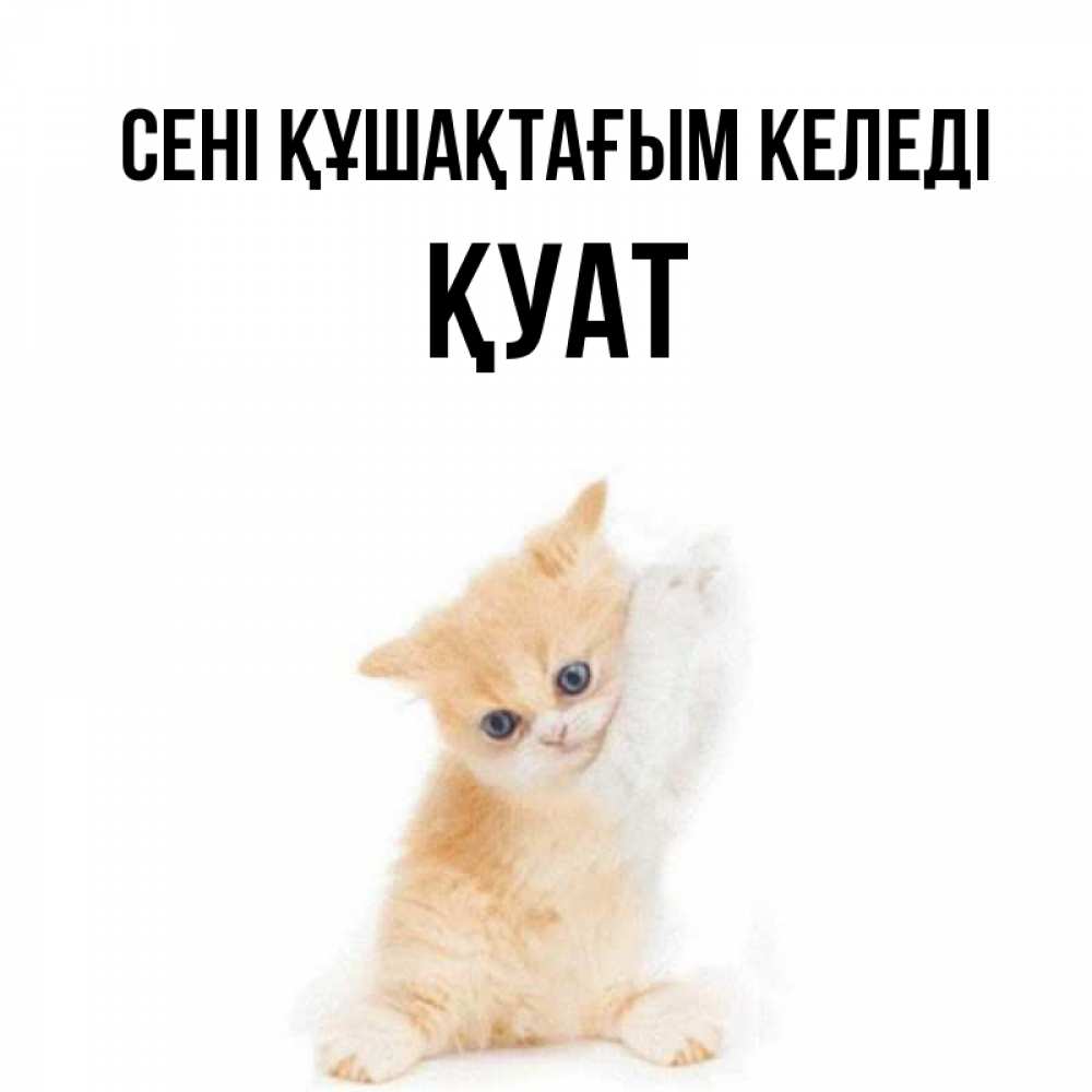 Күн сайын ашық хат с именем, ҚУАТ сені құшақтағым келеді я хочу очень скорее обнимаешек Онлайн тегін жүктеп алу тілектері бар керемет карта 