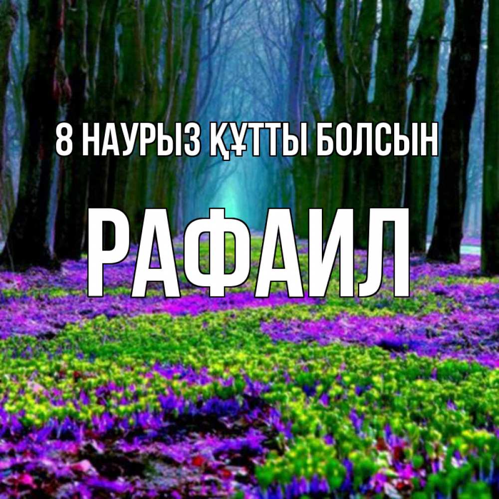 Күн сайын ашық хат с именем, Рафаил 8 наурыз құтты болсын фиолетовые цветы в лесу 1 Онлайн тегін жүктеп алу тілектері бар керемет карта 