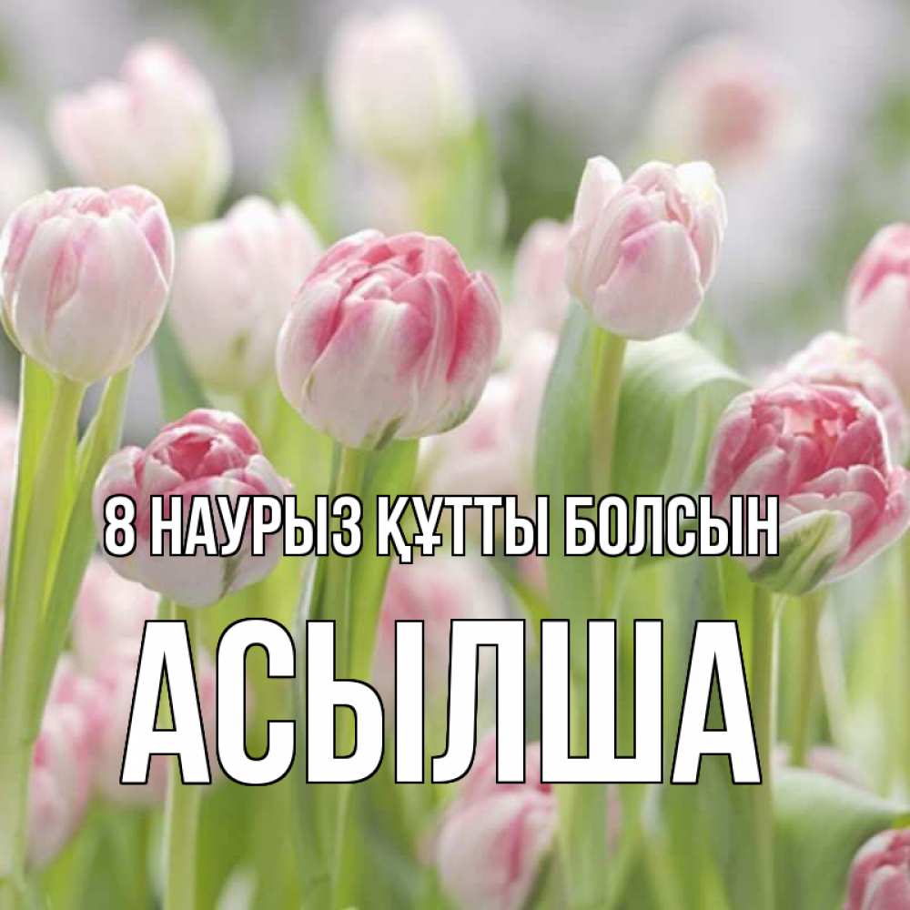 Күн сайын ашық хат с именем, АСЫЛША 8 наурыз құтты болсын цветы Онлайн тегін жүктеп алу тілектері бар керемет карта 