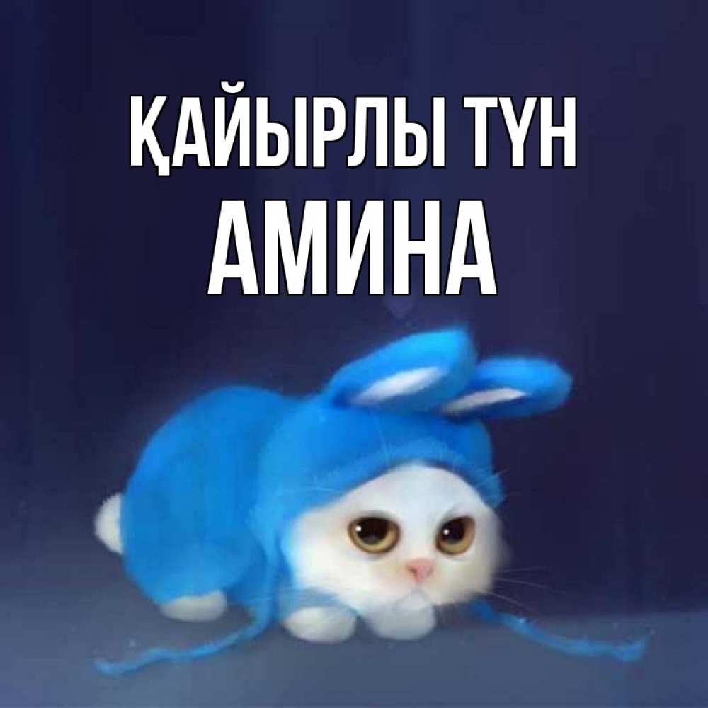 Күн сайын ашық хат с именем, Амина Қайырлы түн кот в голубом костюме кролика с ушками Онлайн тегін жүктеп алу тілектері бар керемет карта 