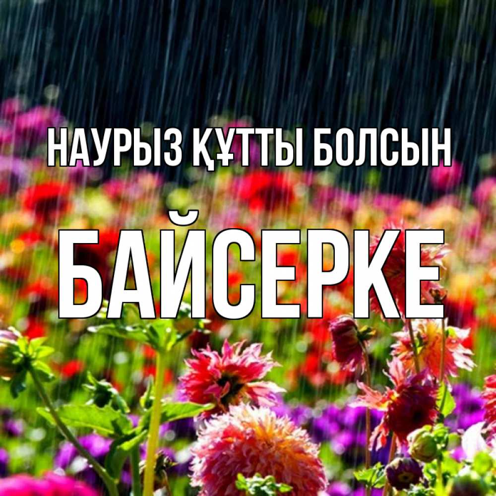 Күн сайын ашық хат с именем, Байсерке Наурыз құтты болсын цветы под дождиком к наурызу Онлайн тегін жүктеп алу тілектері бар керемет карта 