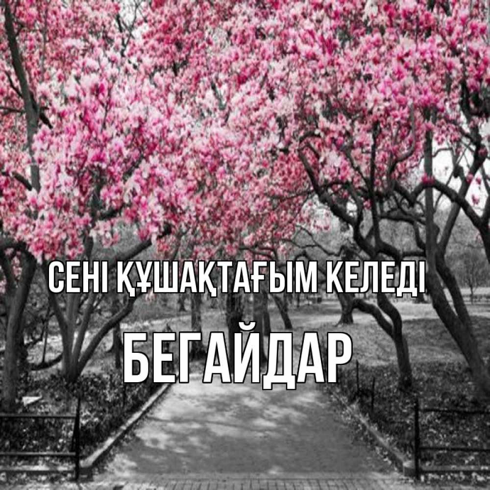 Күн сайын ашық хат с именем, Бегайдар сені құшақтағым келеді обработанное фото Онлайн тегін жүктеп алу тілектері бар керемет карта 
