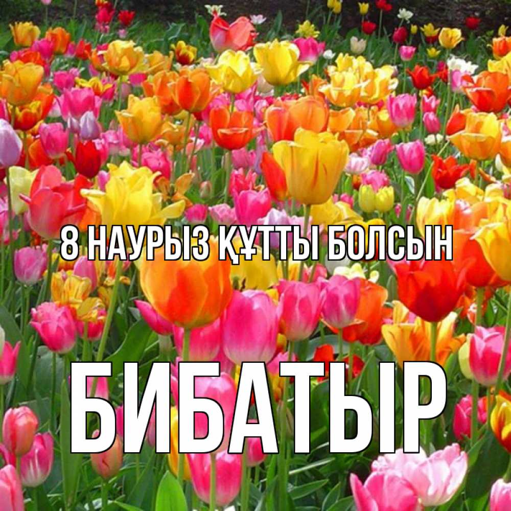 Күн сайын ашық хат с именем, Бибатыр 8 наурыз құтты болсын на международный женский день Онлайн тегін жүктеп алу тілектері бар керемет карта 