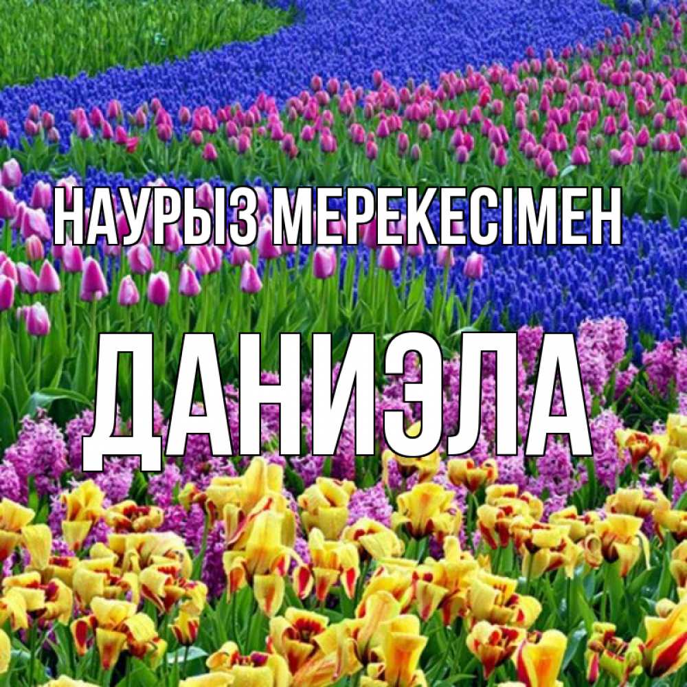 Күн сайын ашық хат с именем, Даниэла Наурыз мерекесімен цветы Онлайн тегін жүктеп алу тілектері бар керемет карта 
