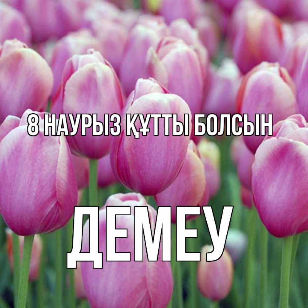Күн сайын ашық хат с именем, Демеу 8 наурыз құтты болсын на международный женский день 3 Онлайн тегін жүктеп алу тілектері бар керемет карта 