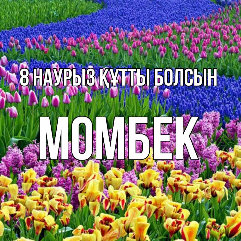 Күн сайын ашық хат с именем, МОМБЕК 8 наурыз құтты болсын цветы Онлайн тегін жүктеп алу тілектері бар керемет карта 