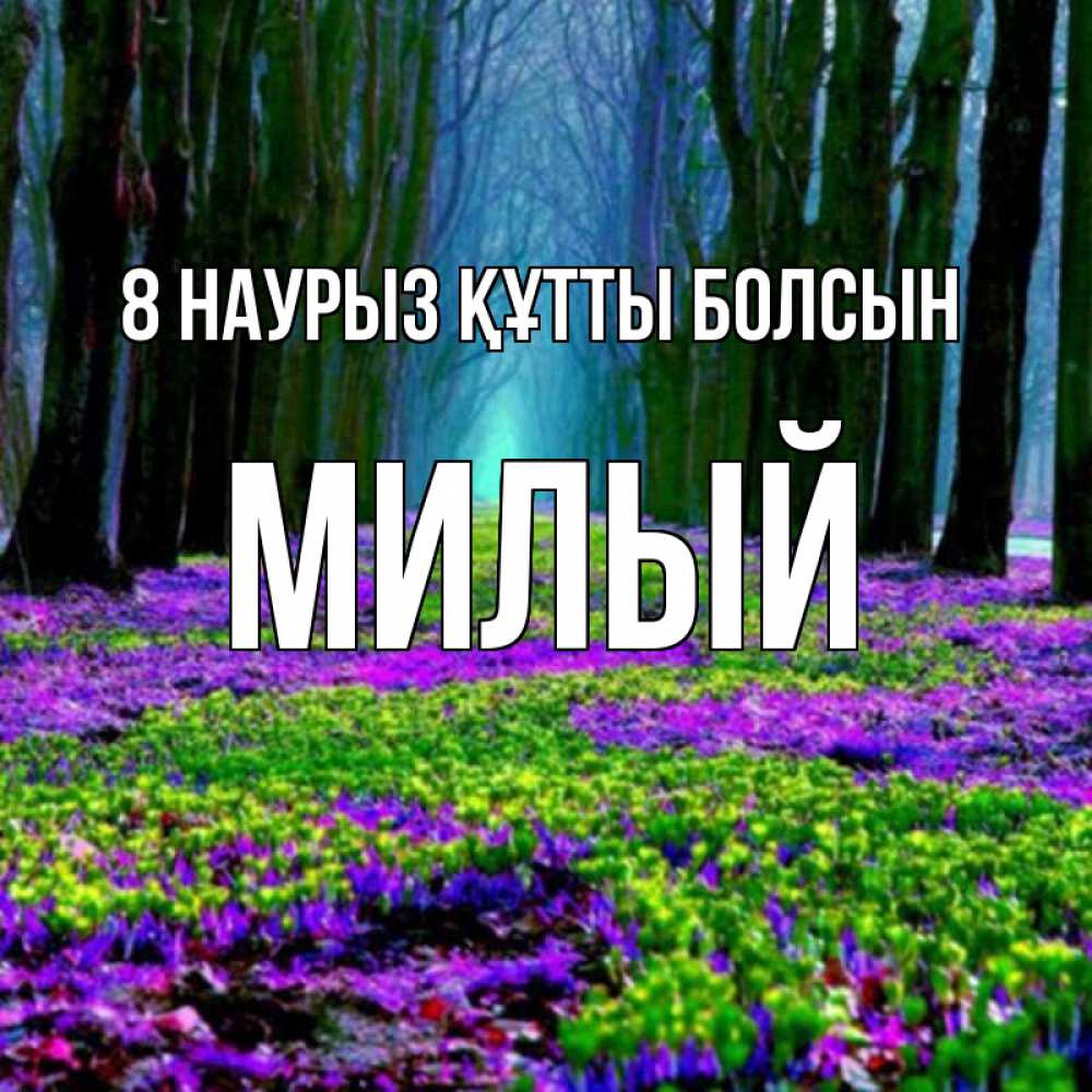 Күн сайын ашық хат с именем, Милый 8 наурыз құтты болсын фиолетовые цветы в лесу 1 Онлайн тегін жүктеп алу тілектері бар керемет карта 