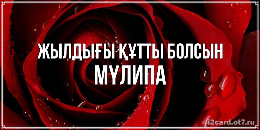 Күн сайын ашық хат с именем, МҮЛИПА Жылдығы құтты болсын крупная бордовая роза Онлайн тегін жүктеп алу тілектері бар керемет карта 