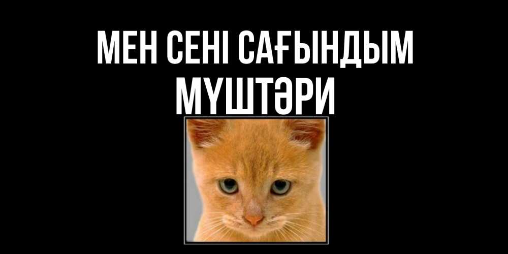 Күн сайын ашық хат с именем, МҮШТӘРИ Мен сені сағындым открытки рыжий котенок скучает по тебе Онлайн тегін жүктеп алу тілектері бар керемет карта 