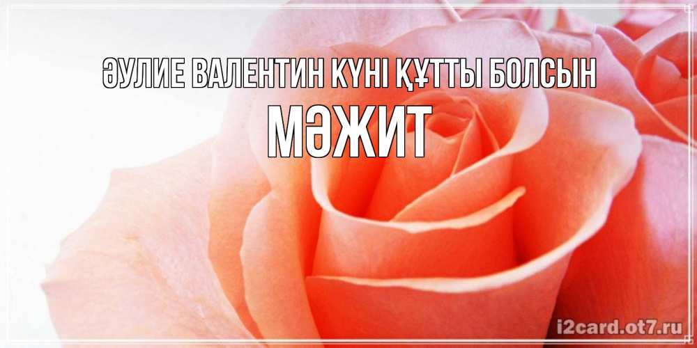Күн сайын ашық хат с именем, МӘЖИТ Әулие Валентин күні құтты болсын открытка на день Святого Валентина с розовой розой Онлайн тегін жүктеп алу тілектері бар керемет карта 