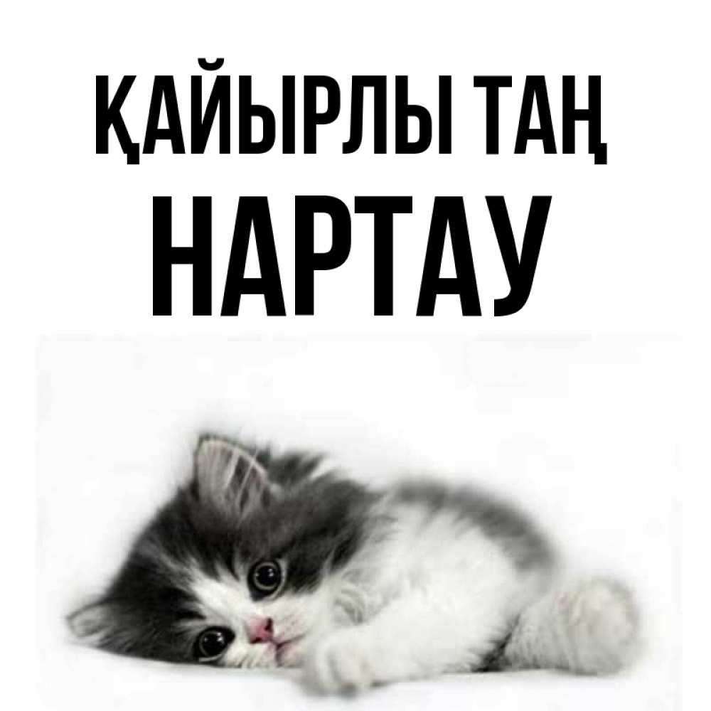 Күн сайын ашық хат с именем, НАРТАУ Қайырлы таң кот лапки Онлайн тегін жүктеп алу тілектері бар керемет карта 