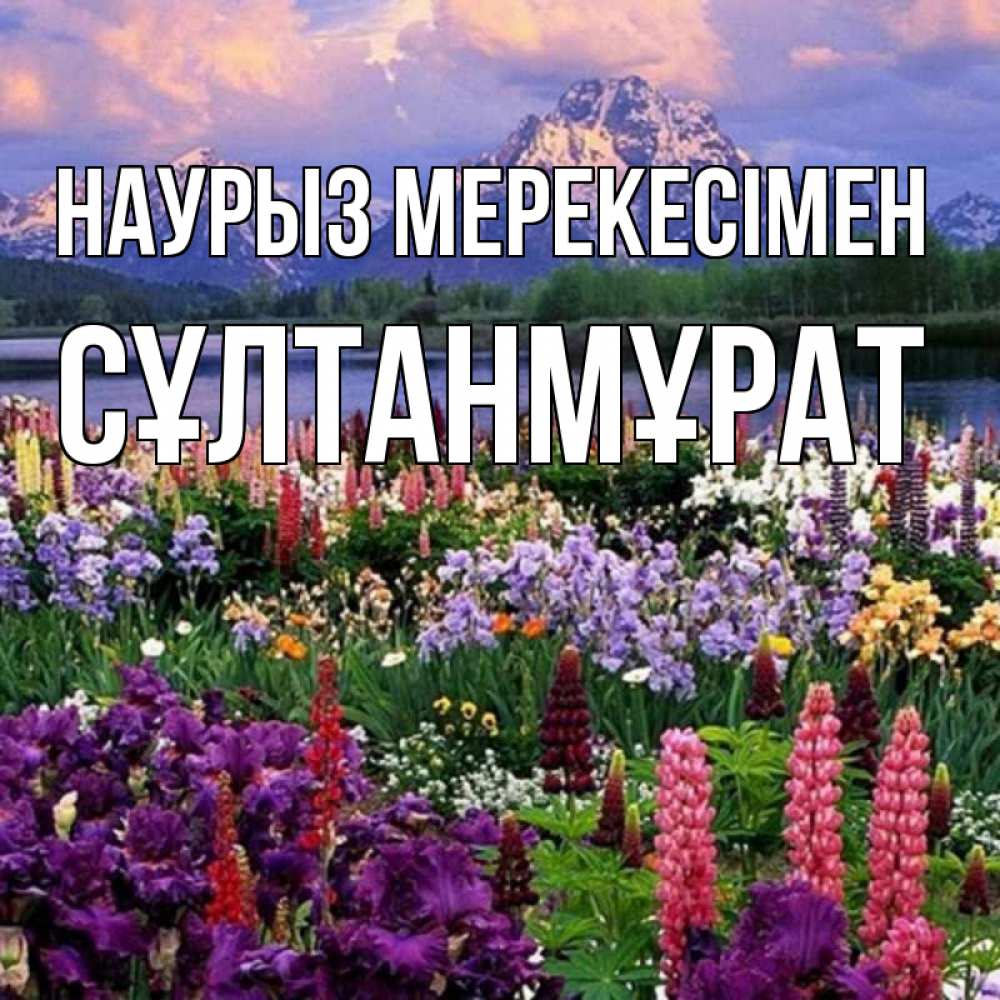 Күн сайын ашық хат с именем, СҰЛТАНМҰРАТ Наурыз мерекесімен праздник весны наурыз Онлайн тегін жүктеп алу тілектері бар керемет карта 