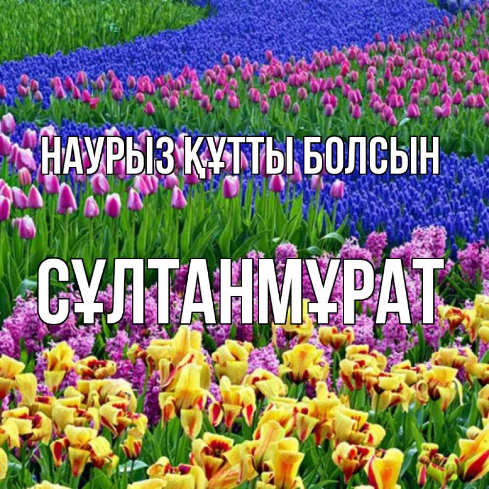 Күн сайын ашық хат с именем, СҰЛТАНМҰРАТ Наурыз құтты болсын цветы Онлайн тегін жүктеп алу тілектері бар керемет карта 