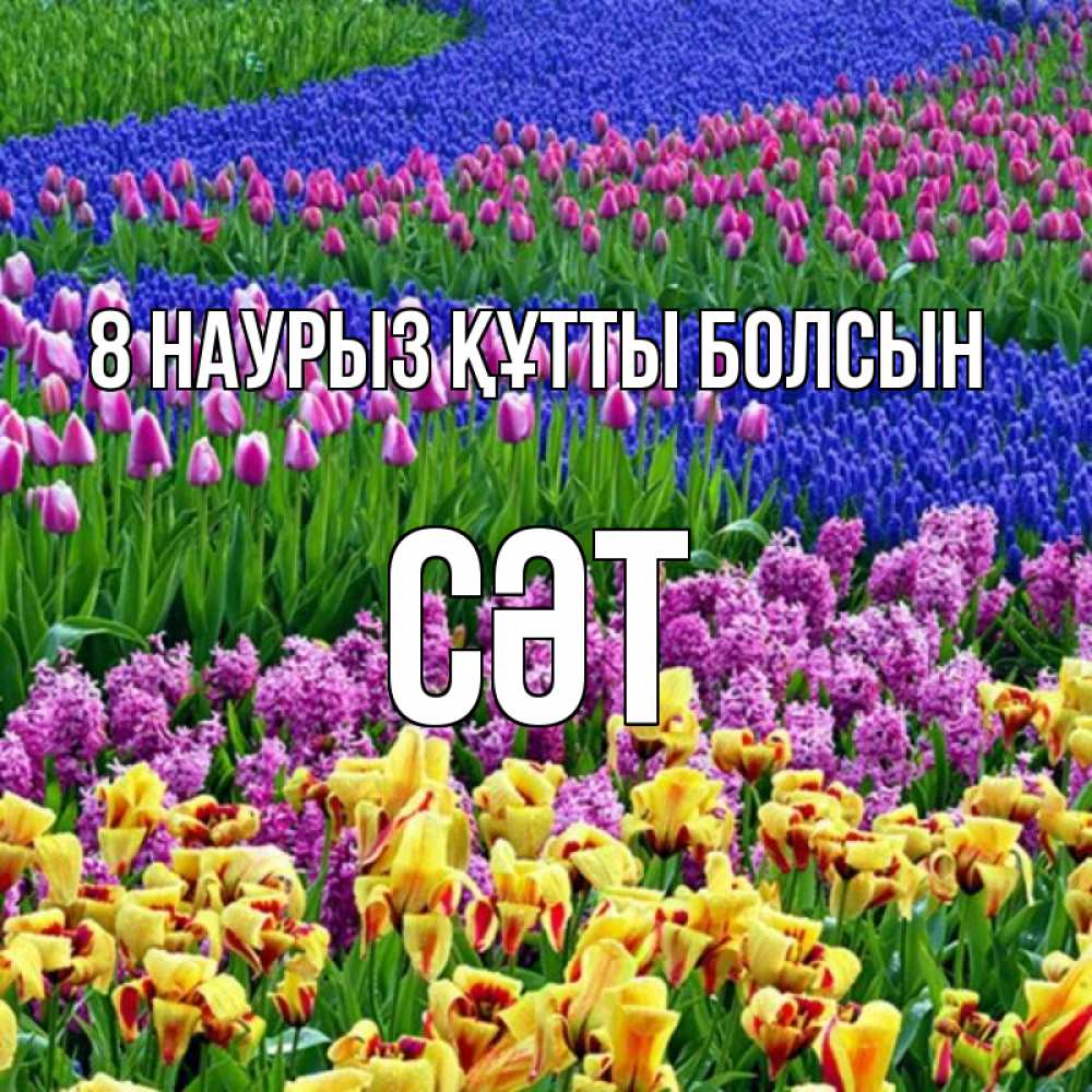 Күн сайын ашық хат с именем, СӘТ 8 наурыз құтты болсын цветы Онлайн тегін жүктеп алу тілектері бар керемет карта 