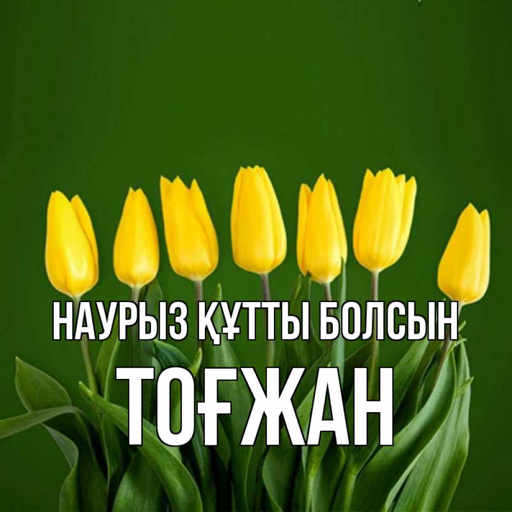 Күн сайын ашық хат с именем, ТОҒЖАН Наурыз құтты болсын желтого цвета 3 Онлайн тегін жүктеп алу тілектері бар керемет карта 