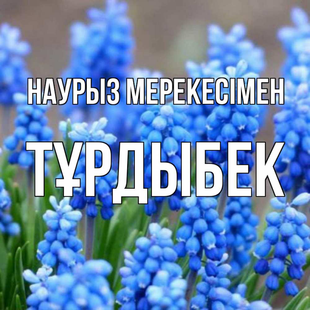 Күн сайын ашық хат с именем, ТҰРДЫБЕК Наурыз мерекесімен Поздравительная открытка для женщин с цветами на праздничную дату Онлайн тегін жүктеп алу тілектері бар керемет карта 