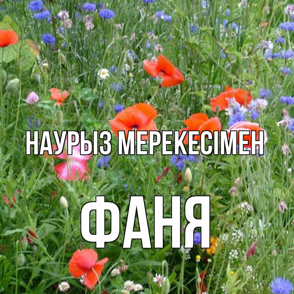 Күн сайын ашық хат с именем, Фаня Наурыз мерекесімен праздник весны наурыз супер открытка Онлайн тегін жүктеп алу тілектері бар керемет карта 