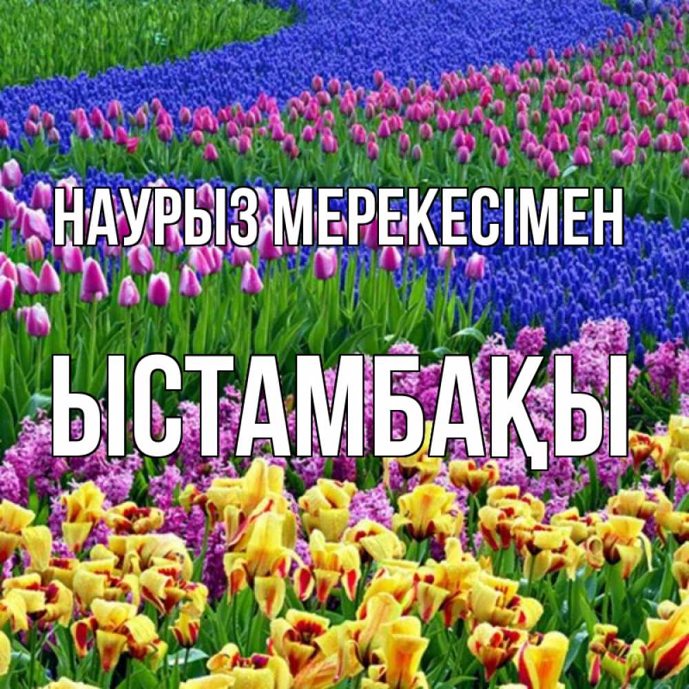 Күн сайын ашық хат с именем, ЫСТАМБАҚЫ Наурыз мерекесімен цветы Онлайн тегін жүктеп алу тілектері бар керемет карта 